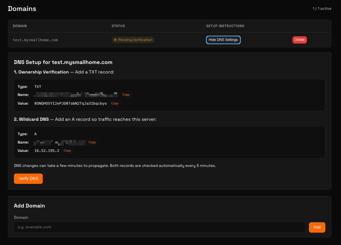 Custom domain DNS setup